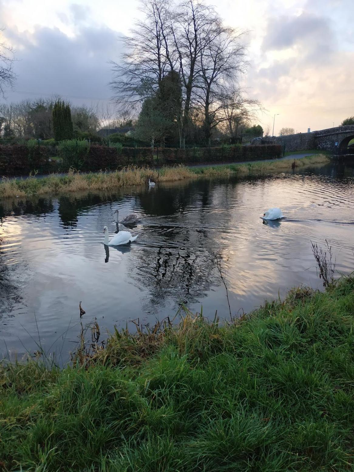 Greenway Guesthouse Mullingar Dış mekan fotoğraf